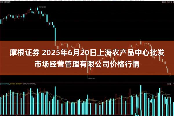 摩根证券 2025年6月20日上海农产品中心批发市场经营管理有限公司价格行情
